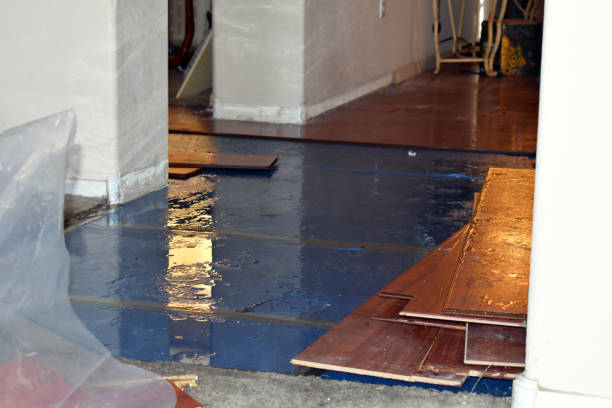 Professional Water Extraction technician working in Silex, MO
